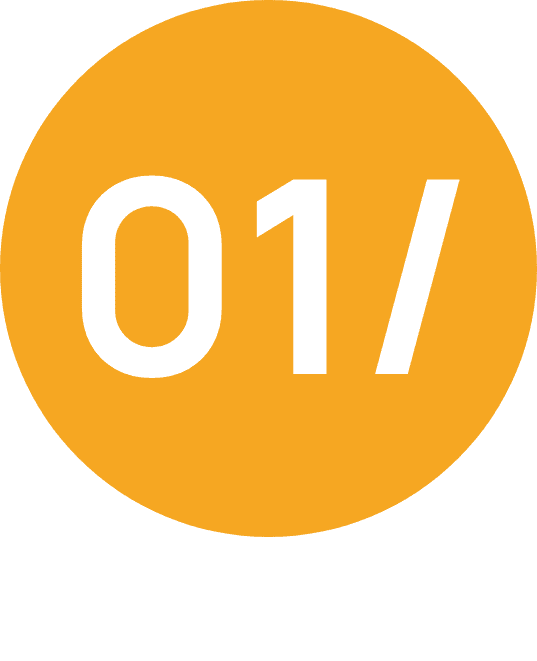 Website Audit